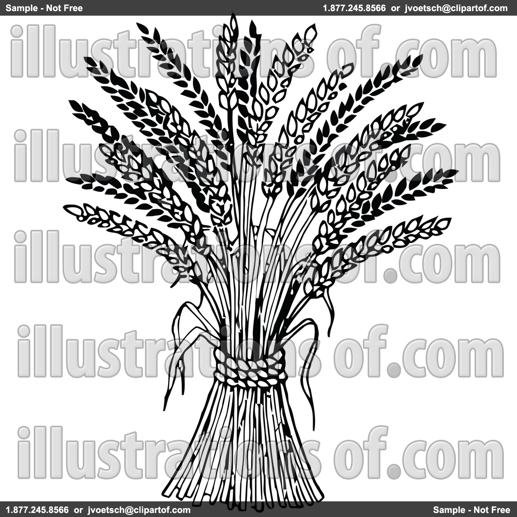 Grains Clipart Black And White   Clipart Panda   Free Clipart Images