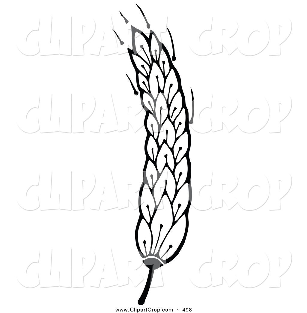 Grains Clipart Black And White   Clipart Panda   Free Clipart Images