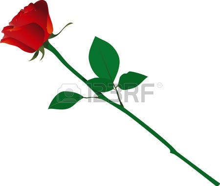 Single Rose Clipart   16329423   Clipart Panda   Free Clipart Images