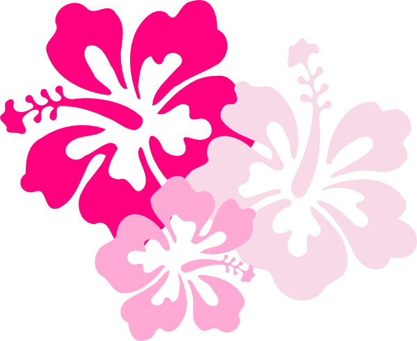 Hibiscus Pink Clip Art At Clker Com   Vector Clip Art Online Royalty