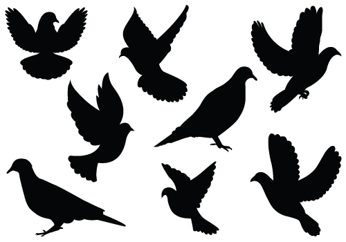 Dove Silhouette Vector Clipartcategory  General Vector Graphics