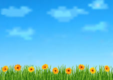 Background With Sky Clouds Grass Gerbera Flowers Stock Image
