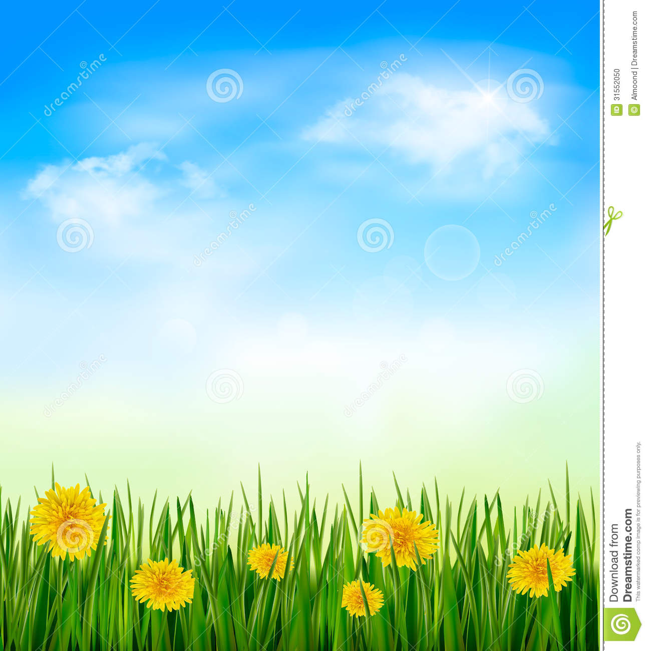 Nature Background Green Grass Flowers Blue Sky Vector   1294x1300