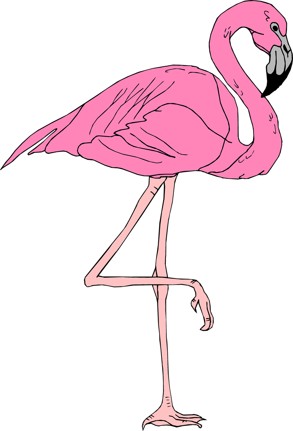 Flamingo   Free Stock Photo   Illustration Of A Pink Flamingo     3399