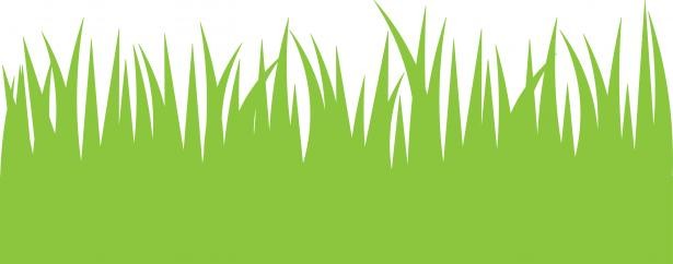Tall Grass Clipart Norwottuck Lawn Care