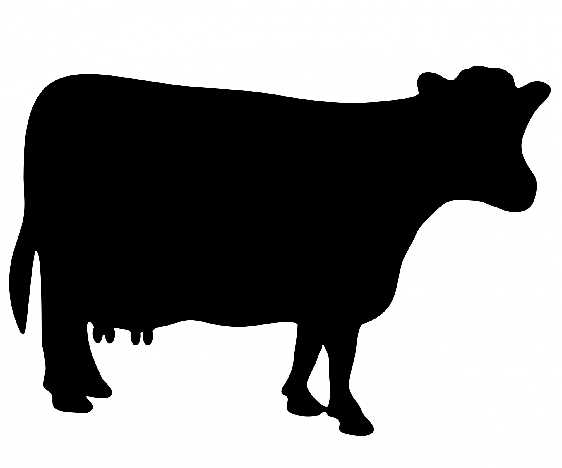 Cow Silhouette Clipart Free Stock Photo Hd   Public Domain Pictures