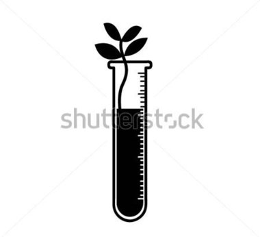 Source File Browse   Science   Plant In A Test Tube Isolated  Vector