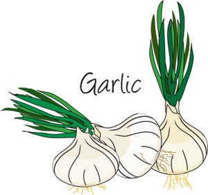 Pin Garlic Clove On My Foot Stinky Breath And Feet Cake On Pinterest