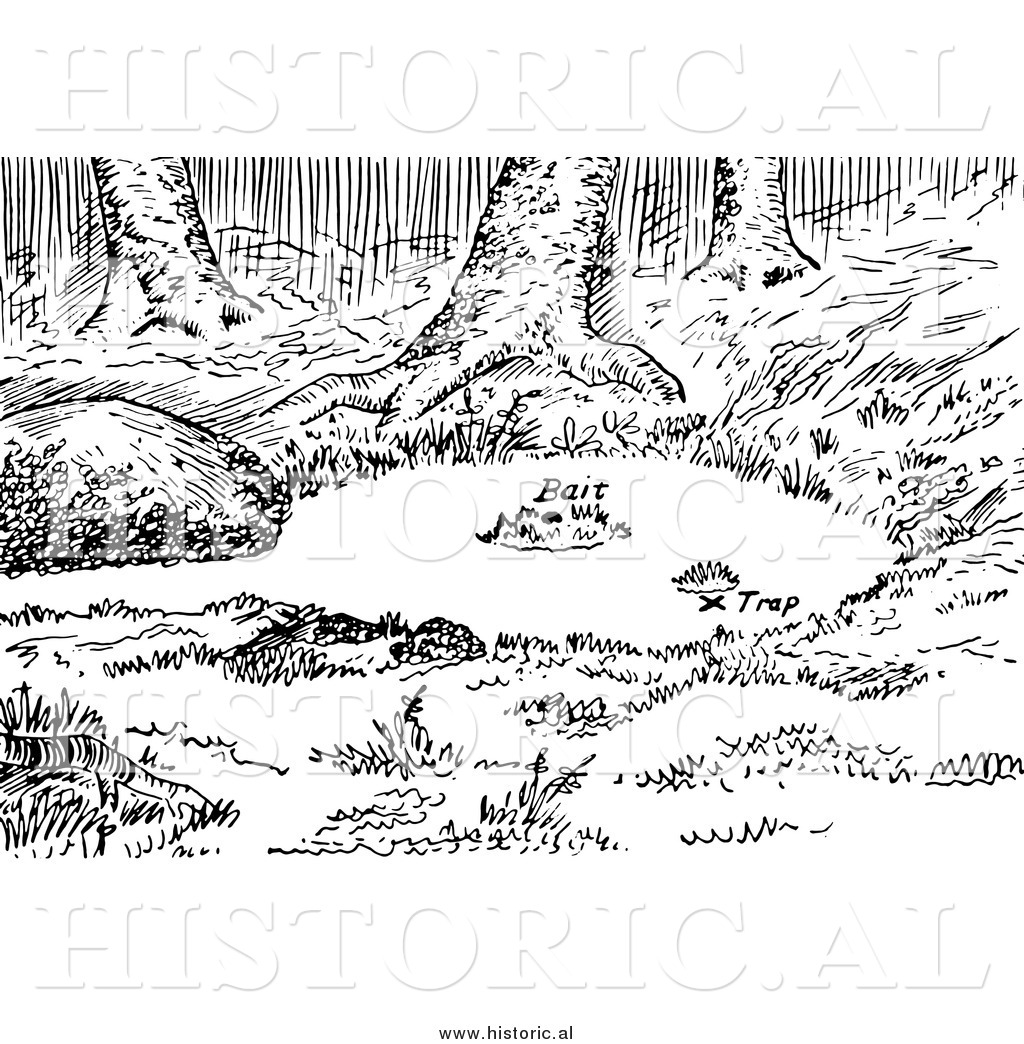 Lake Clipart Black And White Clipart Of A Set Fox Water