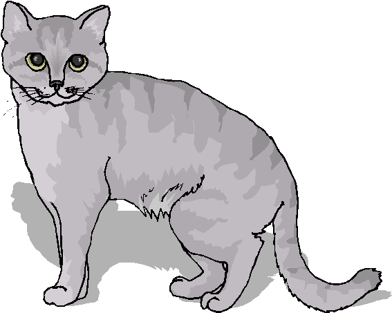 Free Animal Clipart Do You Like This Funny Cat Clipart