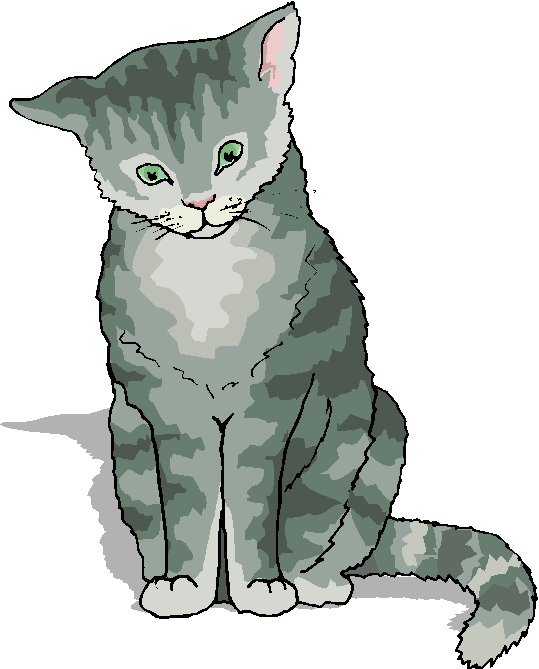 Funny Grey Cat Standing Free Animal Clipart   Free Microsoft Clipart