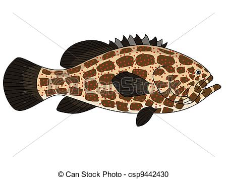 Vector Clipart Of Grouper Fish   Vector Illustration Of Grouper Fish