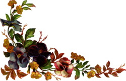 Pansy Border Clipart   Cliparthut   Free Clipart