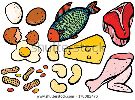 Protein Food Clipart Protein Foods Set   Stock