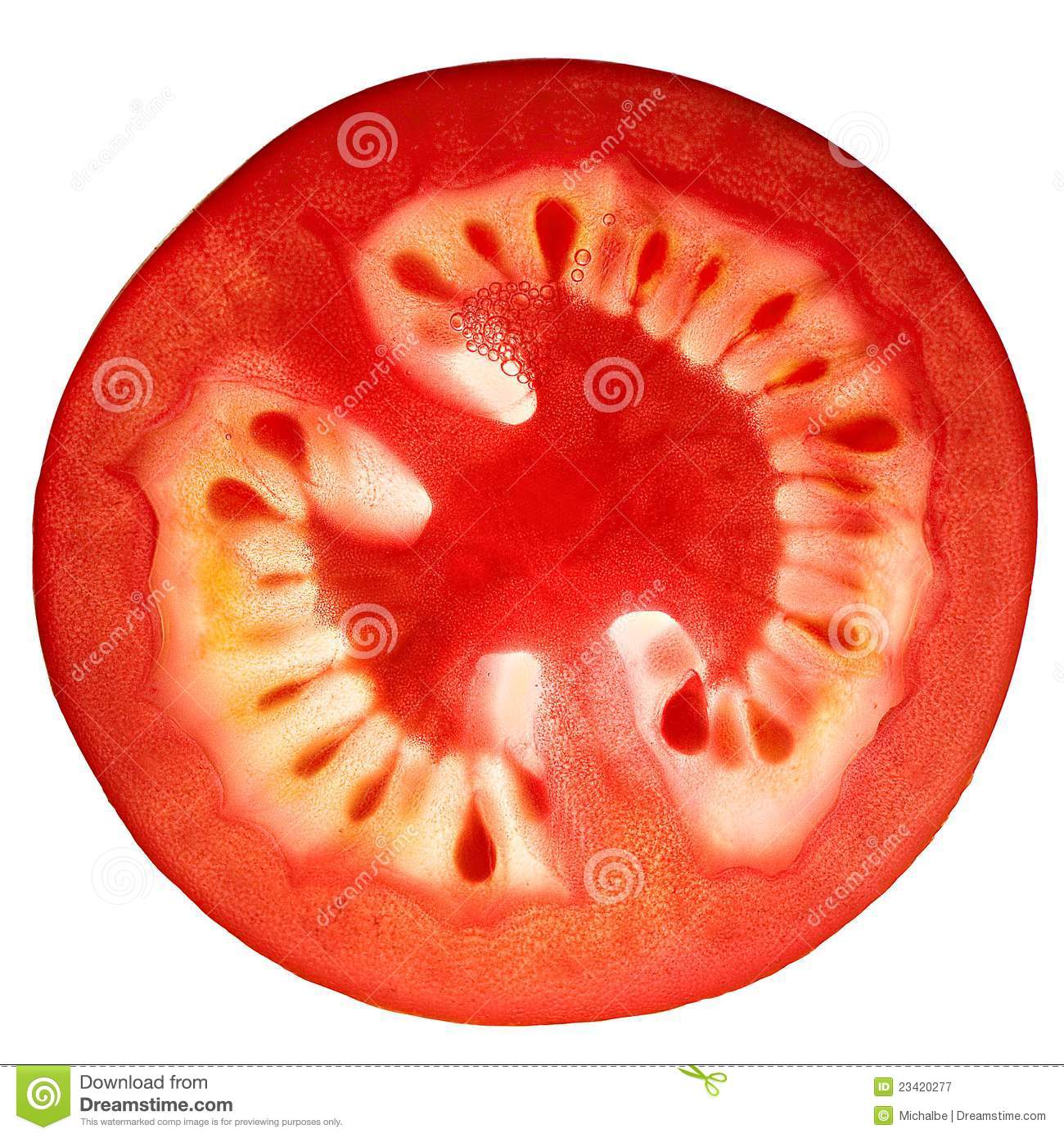 Pickle Slice Clipart Tomato Slice Isolated On White