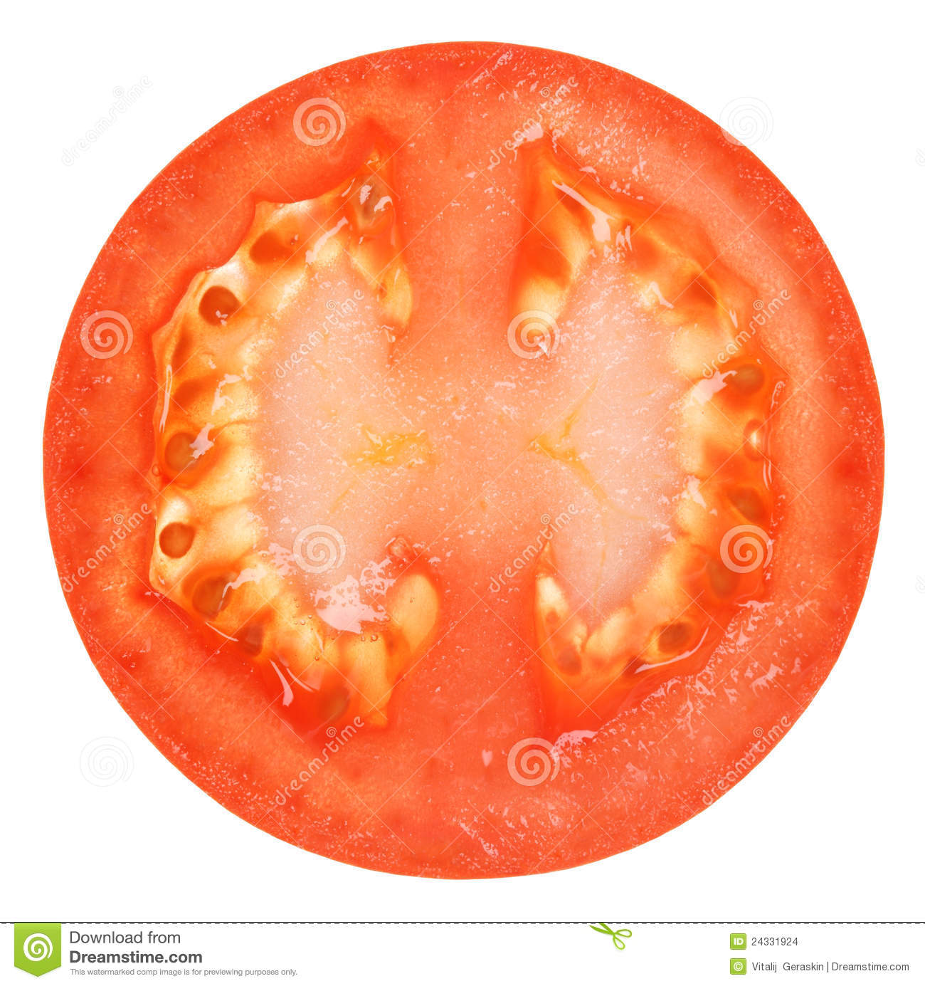 Tomato Slice Clipart Tomato Slice Isolated