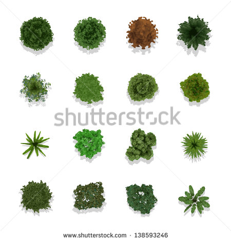 Trees Top View For Landscape Vector Illustration   Stock Vector