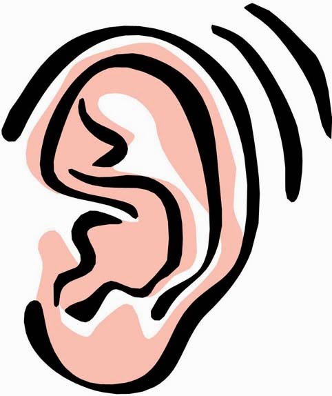 Listener Clipart Ear Clip Art 14 Jpg