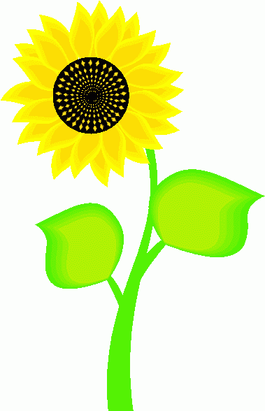 Sunflower 4 Clipart   Sunflower 4 Clip Art