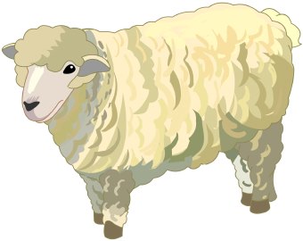 Clip Art Of A Fluffy Wooly White Sheep Standing