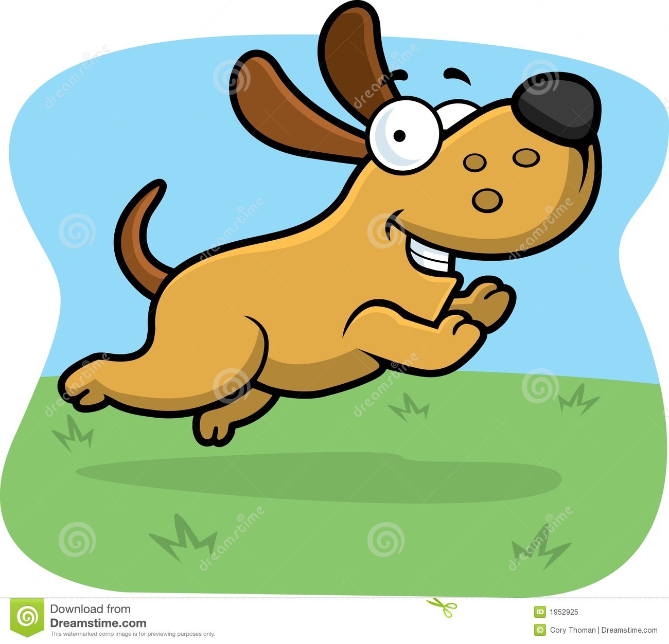 Jumping Dog Royalty Free Stock Photo   Image  1952925
