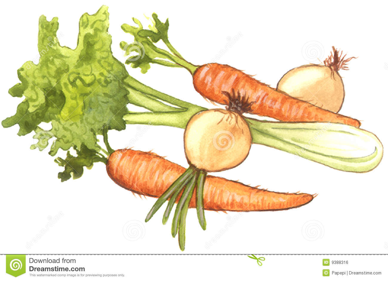 Celeryonions And Carrots Royalty Free Stock Image   Image  9388316