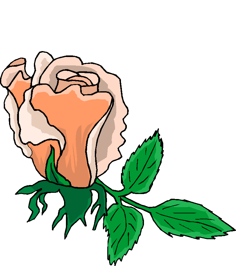 Beautiful Pink Rose Free Flower Clipart   Free Microsoft Clipart