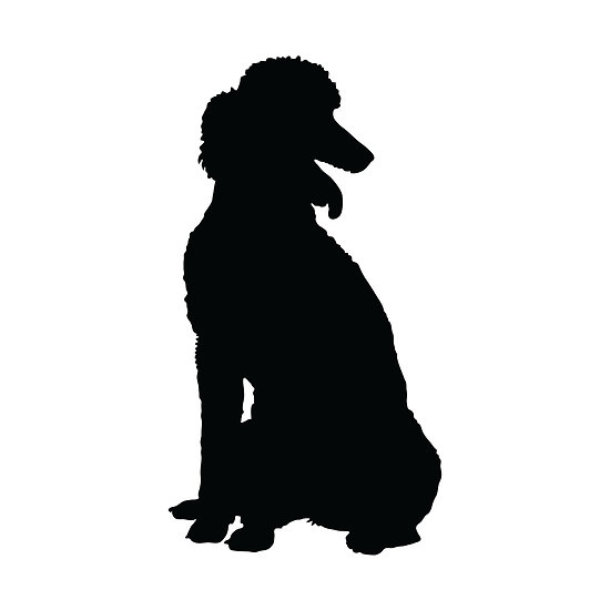 Poodle Silhouette Poodle Silhouette By Maria