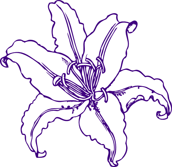 Purple Lilly Clip Art At Clker Com   Vector Clip Art Online Royalty