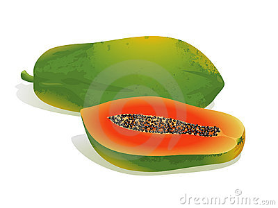 Papaya Fruit Clipart Papaya Fruit 21330136 Jpg