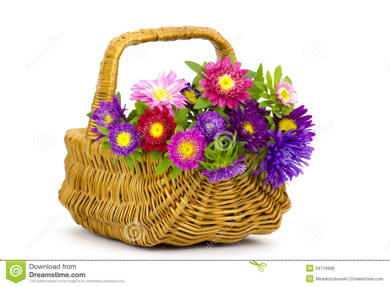 Bouquet Of Colorful Asters Flowers In A Basket On White Background