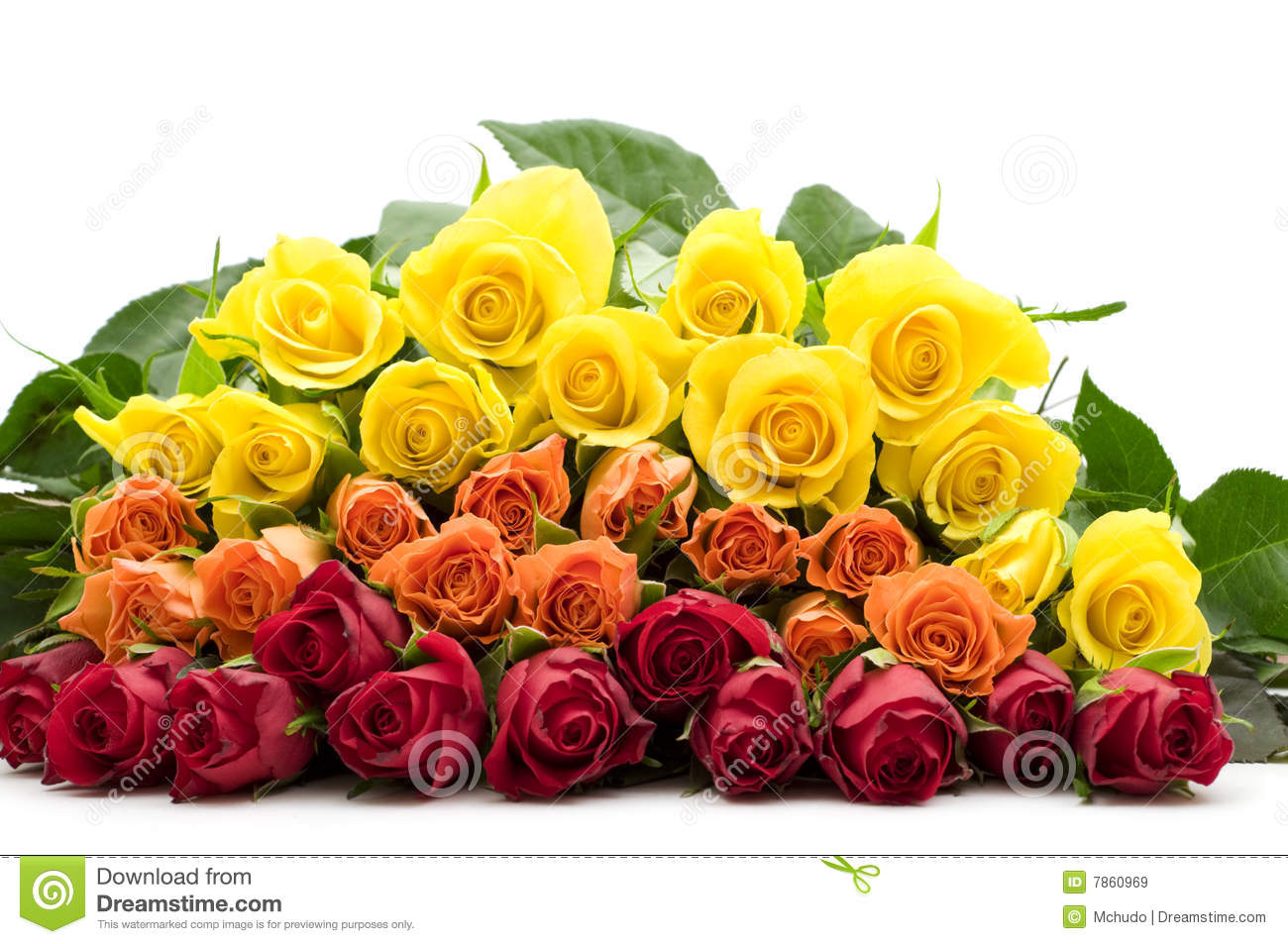 Bouquet Of Colorful Roses Royalty Free Stock Images   Image  7860969