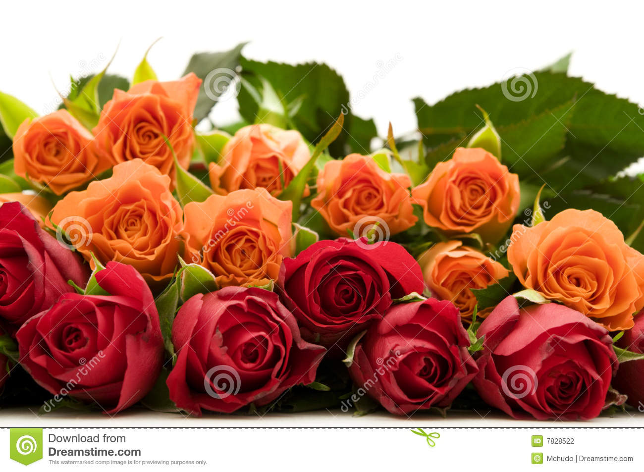 Bouquet Of Colorful Roses Stock Photography   Image  7828522