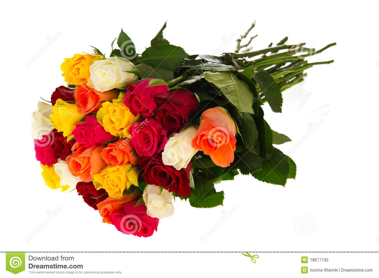Colorful Bouquet Roses Stock Photography   Image  18677192
