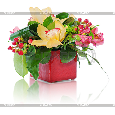 Colorful Floral Bouquet Of Roses Cloves And Orchids Arrangement