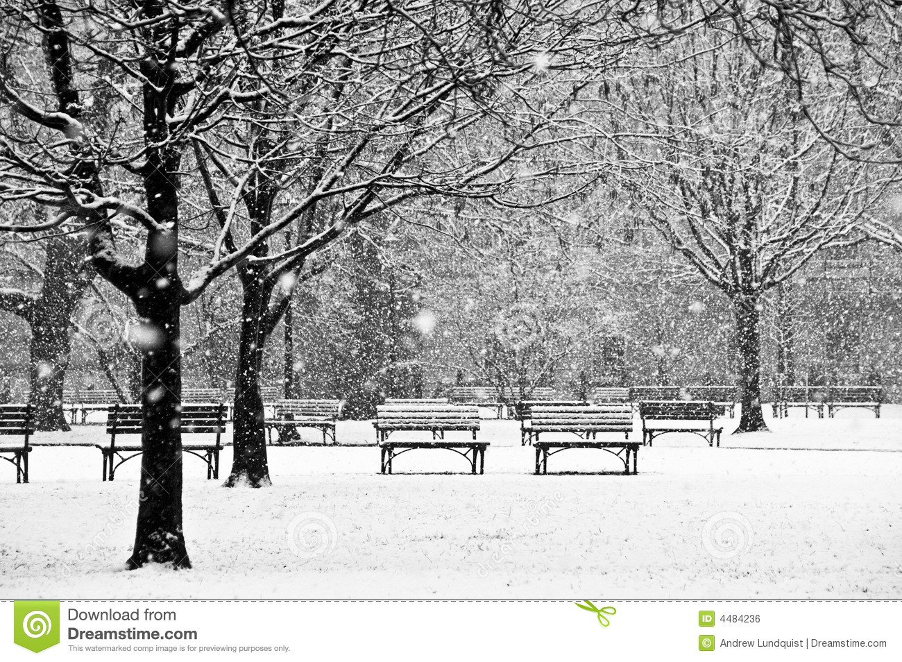 Winter Scenes Clip Art Black And White Black And White Scene