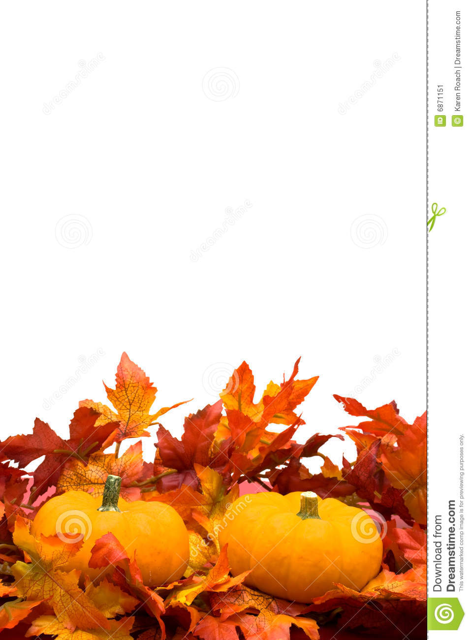 Fall Leaves With Pumpkin On White Background Fall Harvest
