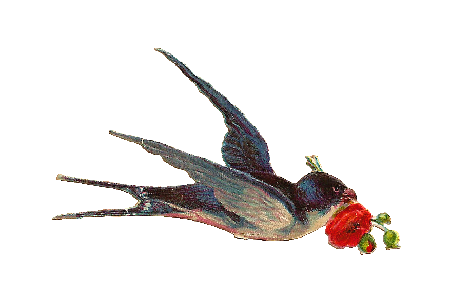 Free Bird Clip Art  Vintage Digital Scrap Of Bird Carrying A Red