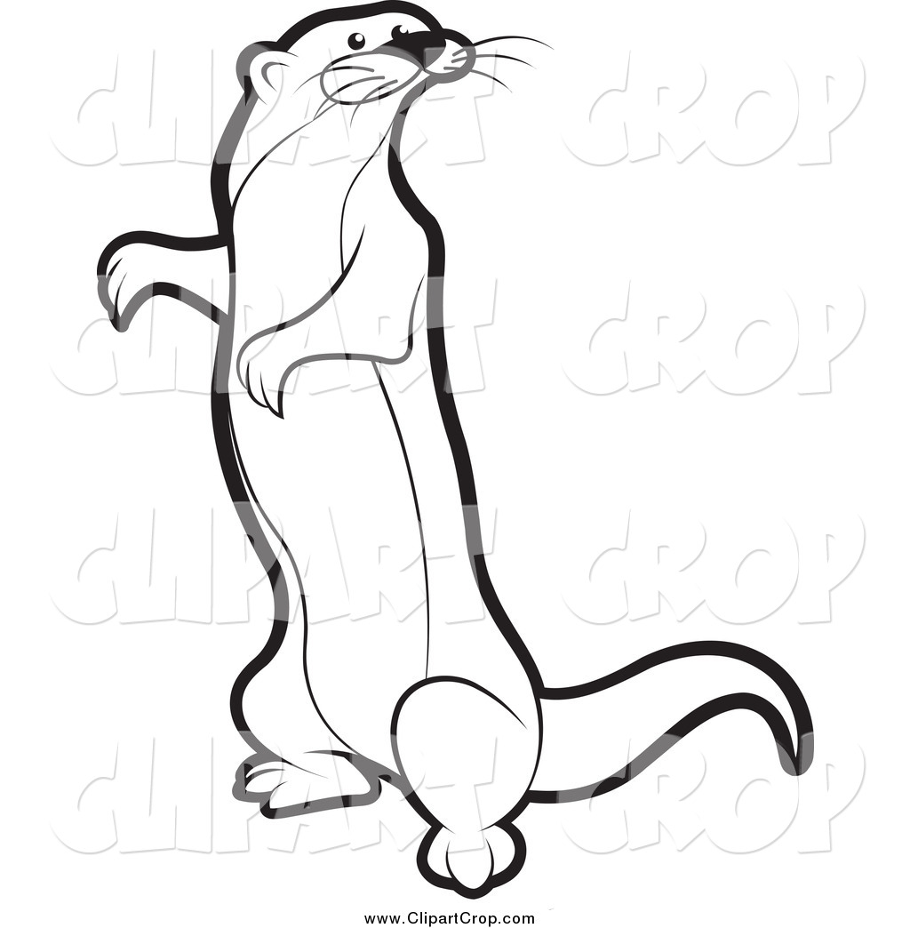 Mongoose Drawing Weasel Clipart