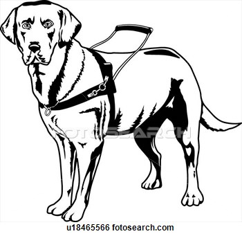 Clip Art Of Guide Dog U18465566   Search Clipart Illustration Posters
