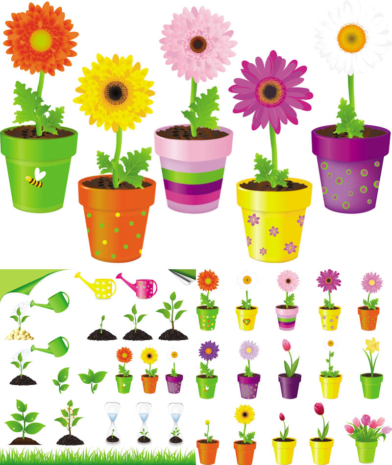 Flower In Pot Illustrations Vector