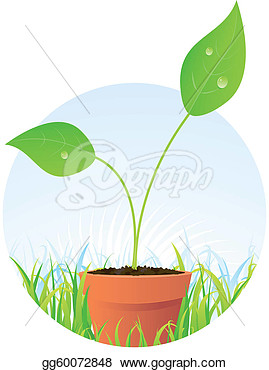 Flower Seeds Clipart Spring Plant Seed In Pot