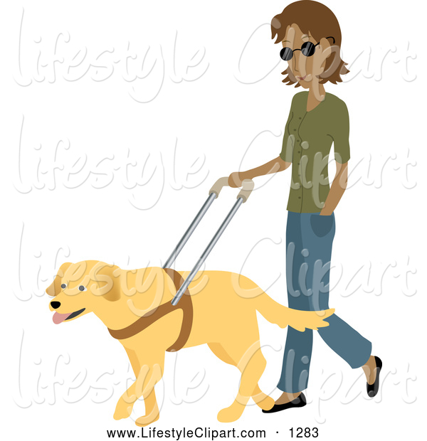 Of A Blind Hispanic Woman Strolling With A Yellow Labrador Guide Dog