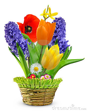 Spring Flower Pot Clipart Spring Flowers In A Pot