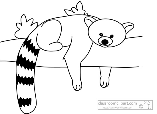 Animals   Red Panda 03 Outline 118   Classroom Clipart