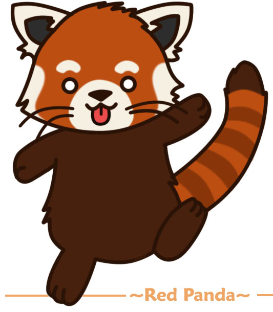 Red Panda Drawing Cute Red Panda Red Pandas 31302422 533 610 Jpg