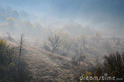 Foggy Hill Slope In The Late Fall Royalty Free Stock Photo   Image