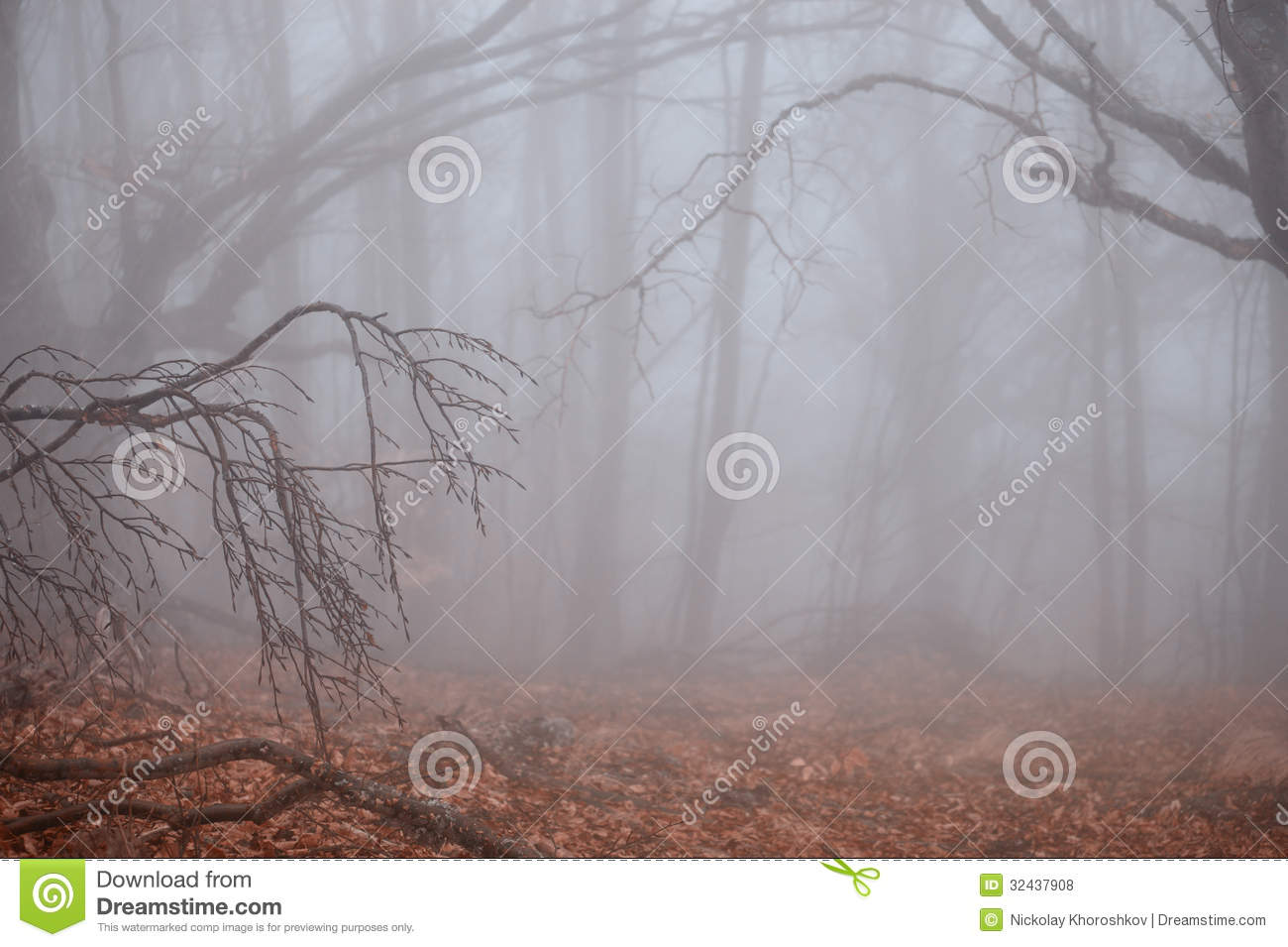 Foggy Weather Clip Art Autumn Forest Foggy Weather