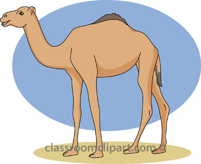 Animal Camel Clipart Graphic