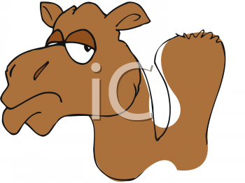 Funny Camel Cartoon Clip Art